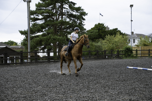 Horseriding