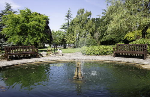 Pond