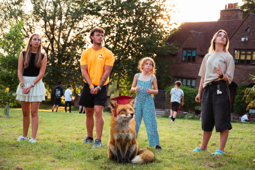 THE ACADEMIC SUMMER CLEVER FOX