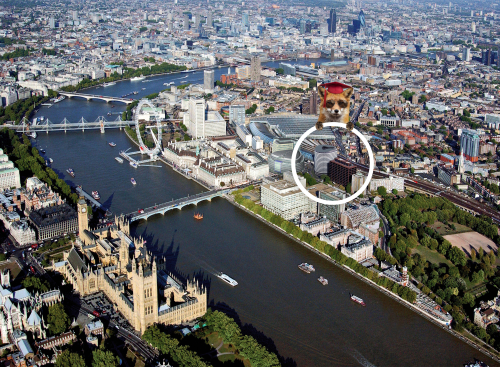 LOCATION: WESTMINSTER LONDON SE1 7FX